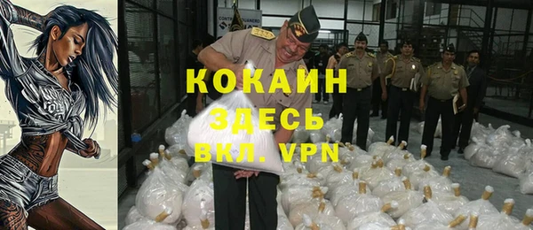 твердый Арсеньев