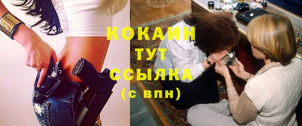 твердый Арсеньев