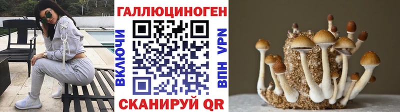 как найти закладки  Похвистнево  Галлюциногенные грибы Psilocybine cubensis 